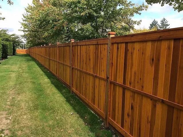Fences